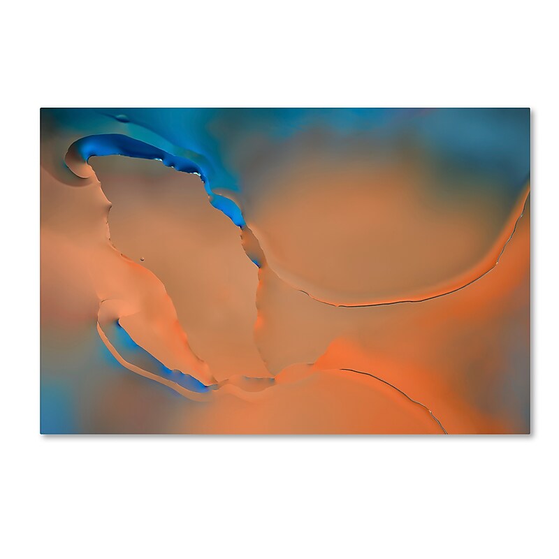 Trademark Fine Art Cora Niele 'Blue and Orange Flow' 12" x 19" Canvas Stretched Art Print (190836253302) image 1