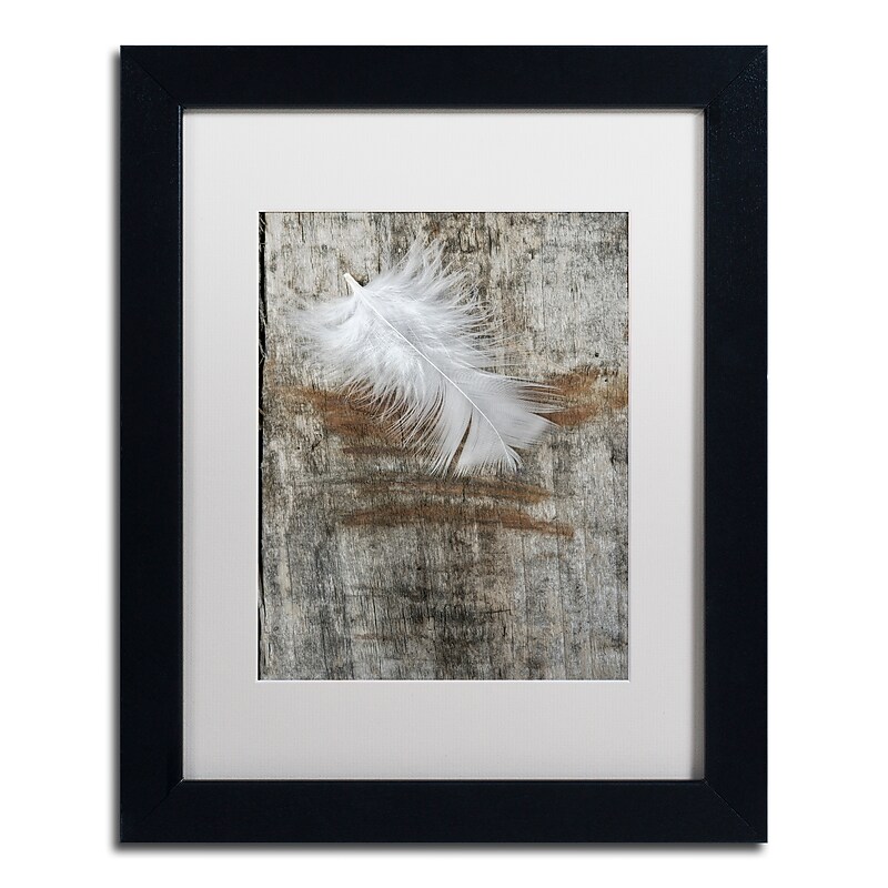 Trademark Fine Art Cora Niele 'White Feather on Wood' 11" x 14" Matted Framed (190836255948) image 1