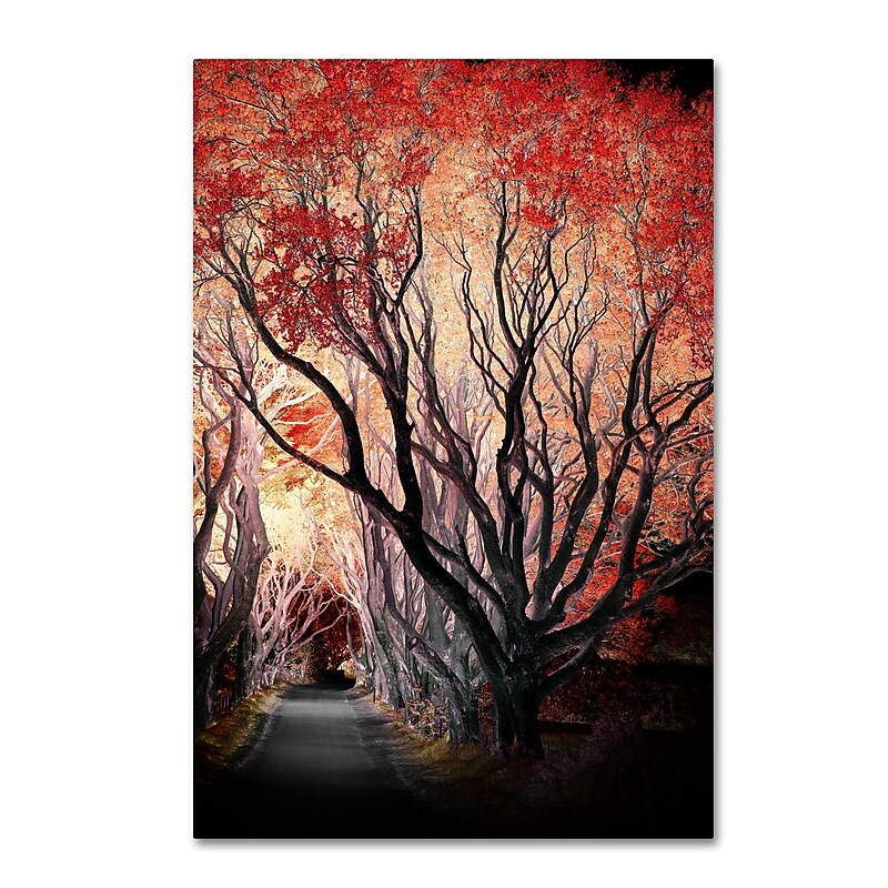 Trademark Fine Art Philippe Sainte-Laudy 'Powerful One' 12" x 19" Canvas Stretched Art Print (190836223206) image 1