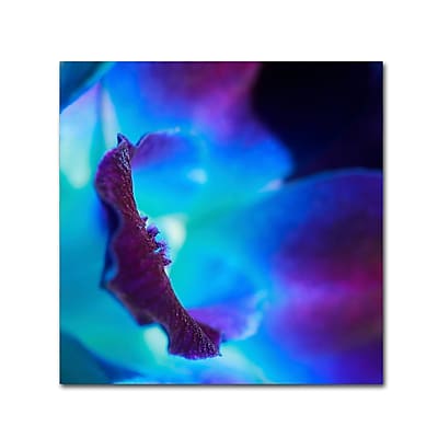 Trademark Fine Art Beata Czyzowska Young 'Colours of Tomorrow' 14" x 14" Canvas Stretched (190836183227)