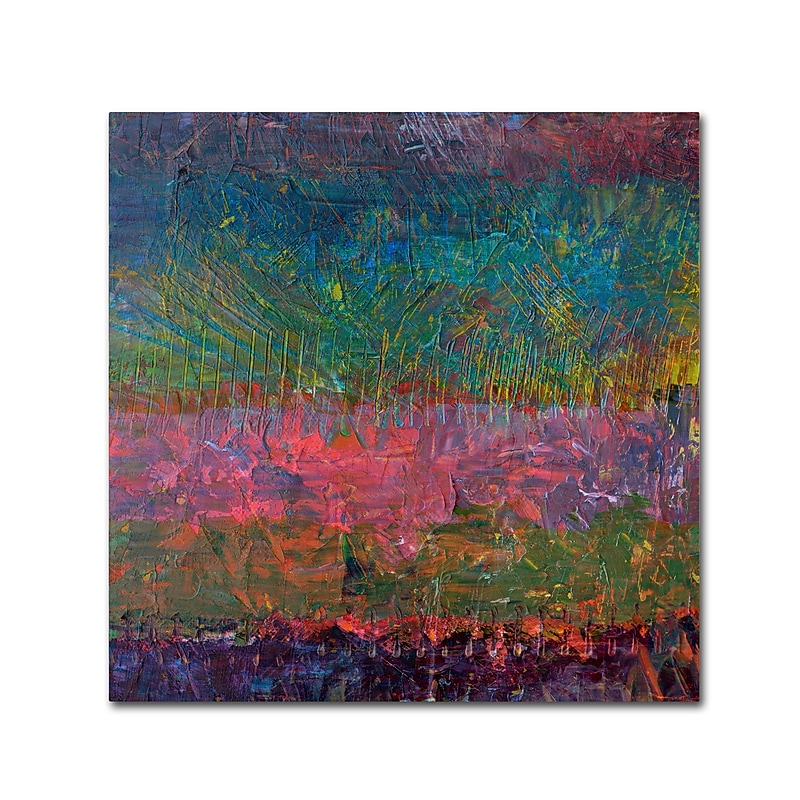 Trademark Fine Art Michelle Calkins 'Wildflowers' 18" x 18" Canvas Stretched (190836070237) image 1