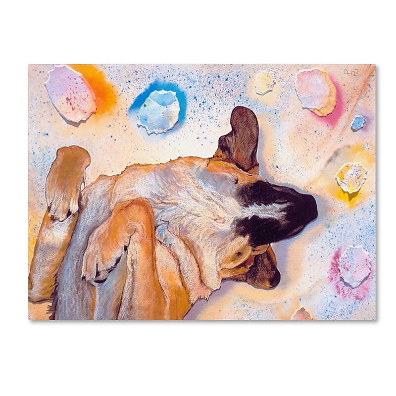 Trademark Fine Art Pat Saunders-White 'Dog Dreams' 14" x 19" Canvas Stretched (190836059232) image 1