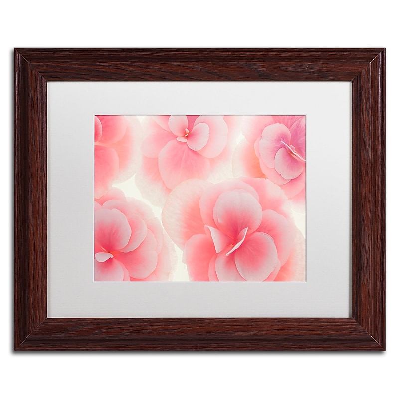 Trademark Fine Art Cora Niele 'Rose Begonia Flowers' 11" x 14" Matted Framed Art Print (190836309061) image 1