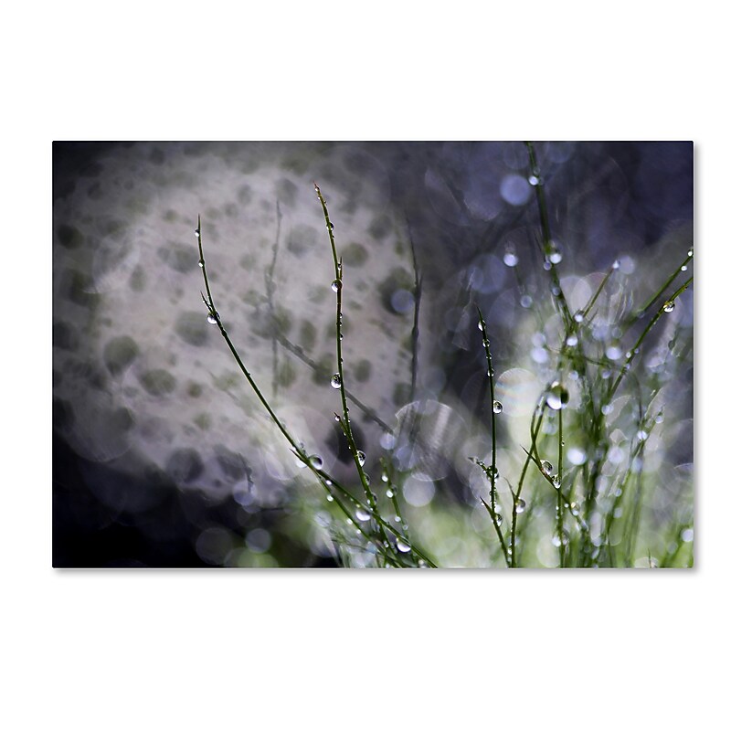 Trademark Fine Art Beata Czyzowska Young 'Morning Tale' 12" x 19" Canvas Stretched Art Print (190836184484) image 1