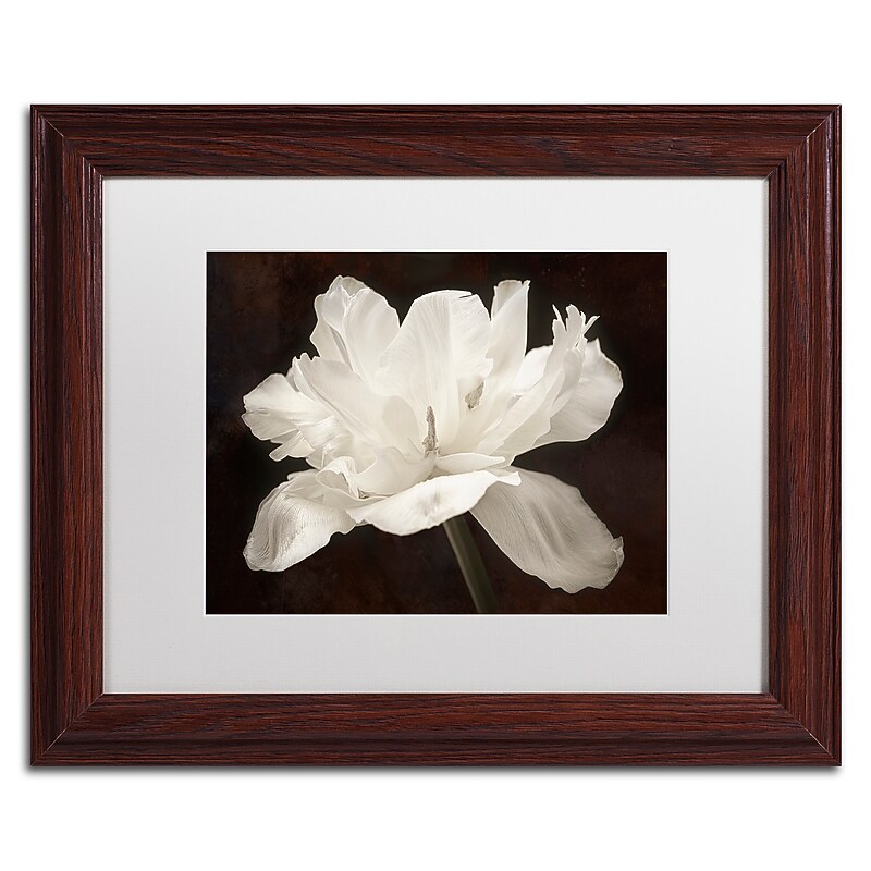 Trademark Fine Art Cora Niele 'White Tulip I' 11" x 14" Matted Framed (190836311729) image 1