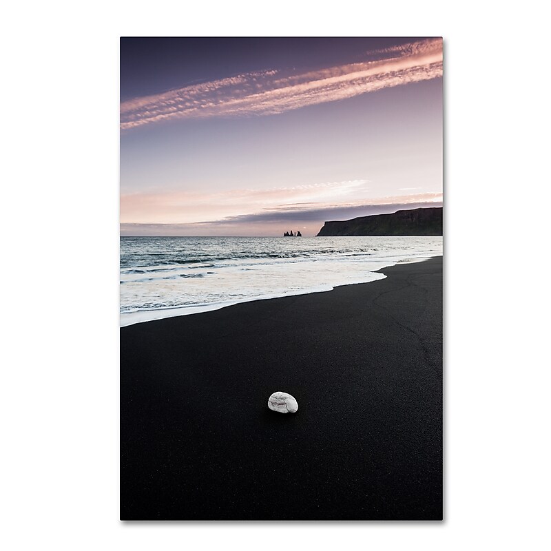 Trademark Fine Art Philippe Sainte-Laudy 'So Still' 12" x 19" Canvas Stretched Art Print (190836324842) image 1