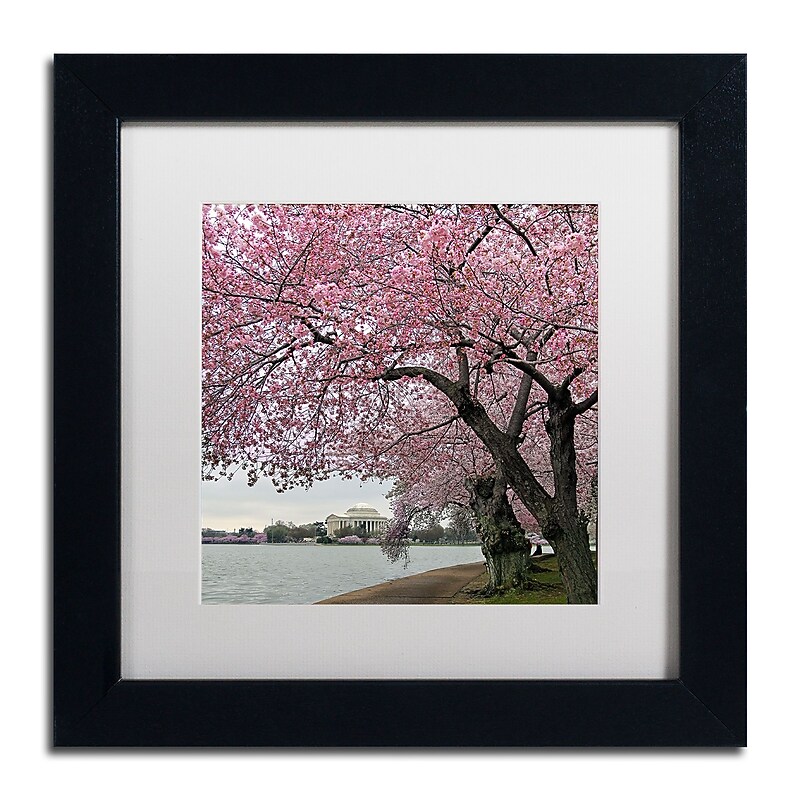 Trademark Fine Art CATeyes 'Tidal Basin Blossoms' 11" x 11" Matted Framed (190836099276) image 1