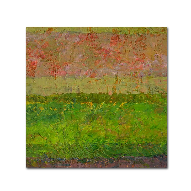 Trademark Fine Art Michelle Calkins 'Summer Fields' 18" x 18" Canvas Stretched (190836070077) image 1
