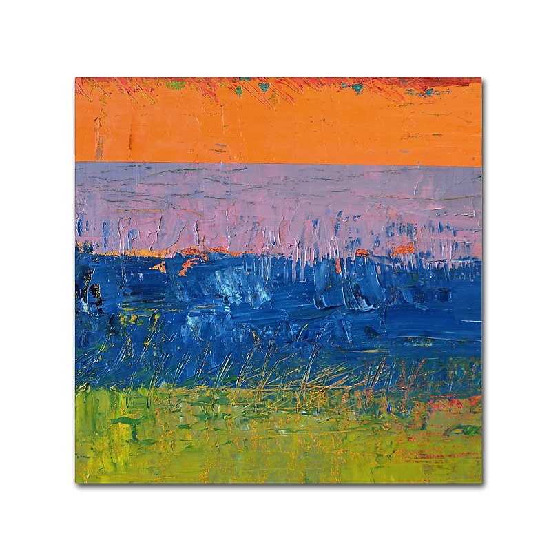 Trademark Fine Art Michelle Calkins 'Thistle Field' 14" x 14" Canvas Stretched Art Print (190836100781) image 1