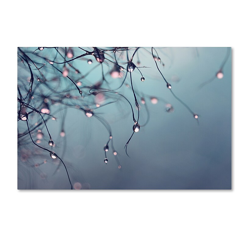 Trademark Fine Art Beata Czyzowska Young 'As Time Goes By' 12" x 19" Canvas Stretched Art Print (190836182664) image 1