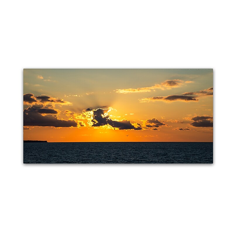 Trademark Fine Art Kurt Shaffer 'Seagull Sunset' 12" x 24" Canvas Stretched (190836008247) image 1