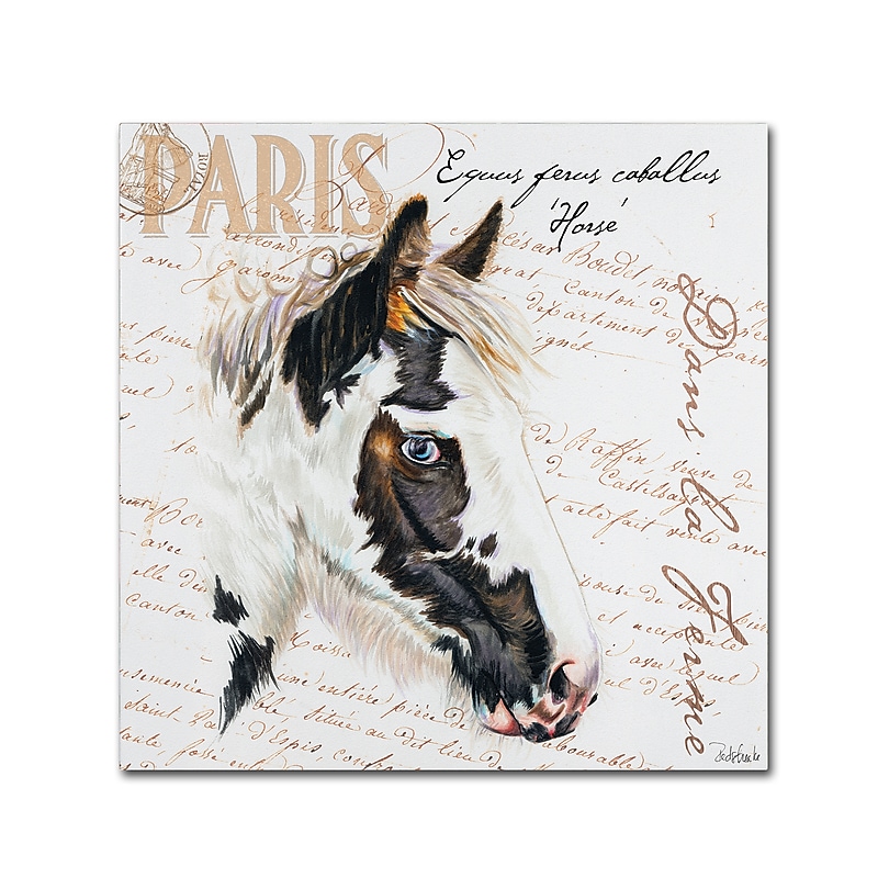 Trademark Fine Art Jennifer Redstreake 'Dans la Ferme Horse' 14" x 14" Canvas Stretched (886511943032) image 1