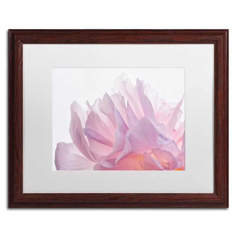 Trademark Fine Art Cora Niele 'Pink Peony Petals VI' 16" x 20" Matted Framed (190836308095) image 1