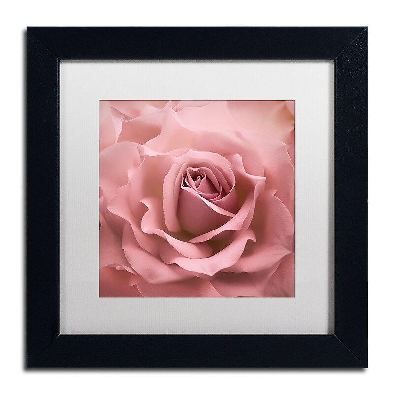 Trademark Fine Art Cora Niele 'Misty Rose Pink Rose' 11" x 11" Matted Framed (190836258185) image 1