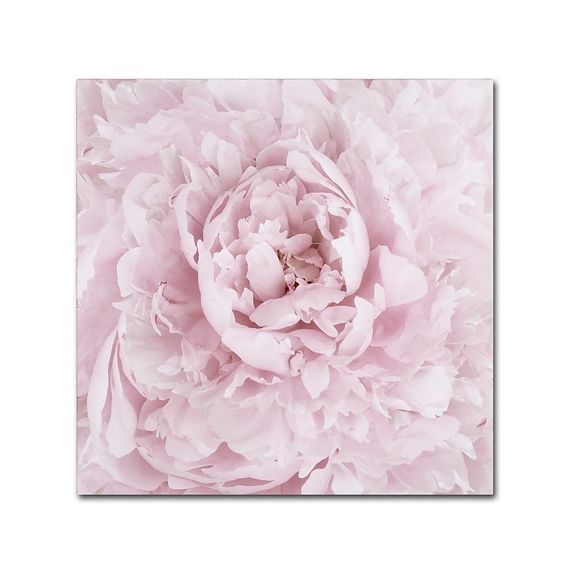 Trademark Fine Art Cora Niele 'Pink Peony Flower' 18" x 18" Canvas Stretched (190836307159) image 1