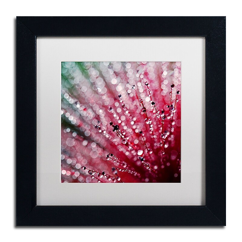 Trademark Fine Art Beata Czyzowska Young 'Pink Melody' 11" x 11" Matted Framed Art Print (190836185023) image 1