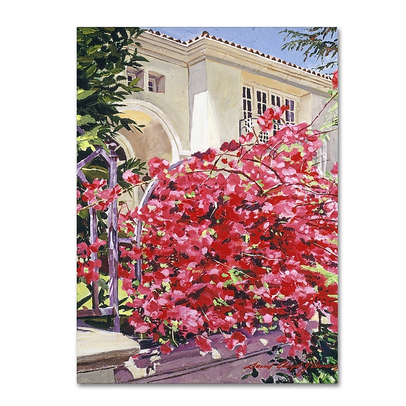 Trademark Fine Art David Lloyd Glover 'Pink Bougainvillea Mansion' 14" x 19" Canvas Stretched (190836187003) image 1