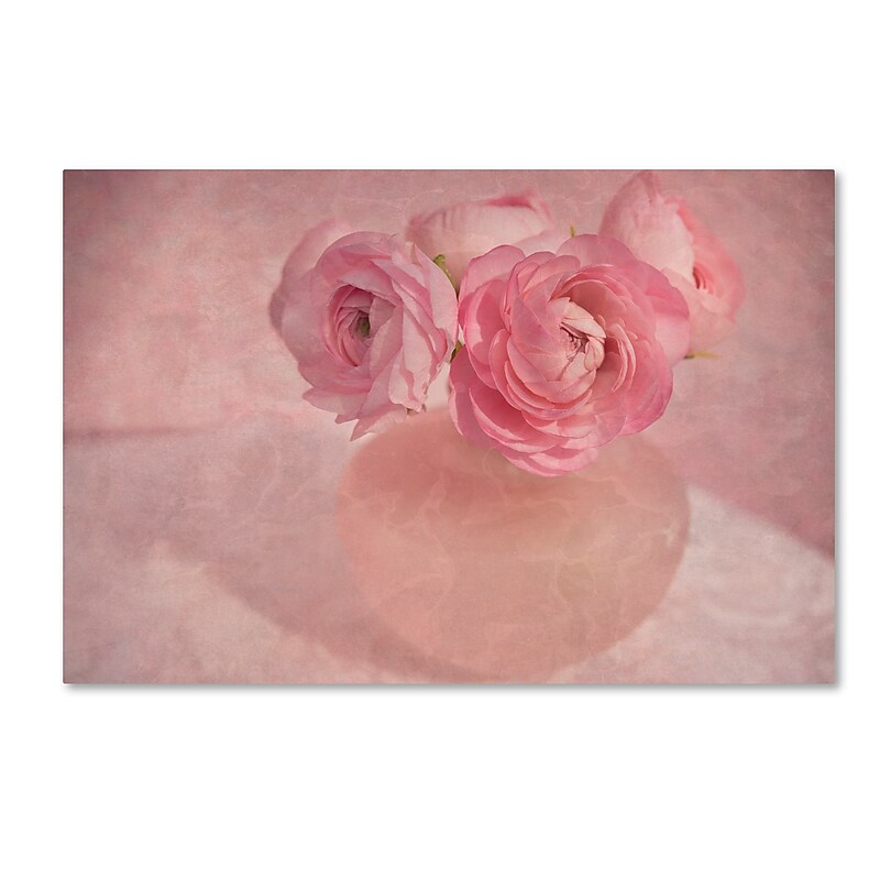 Trademark Fine Art Cora Niele 'Pink Ranunculus Bouquet' 12" x 19" Canvas Stretched (190836259946) image 1