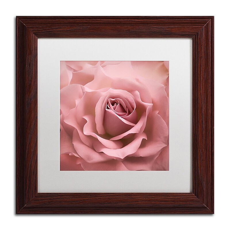 Trademark Fine Art Cora Niele 'Misty Rose Pink Rose' 11" x 11" Matted Framed Art Print (190836258307) image 1