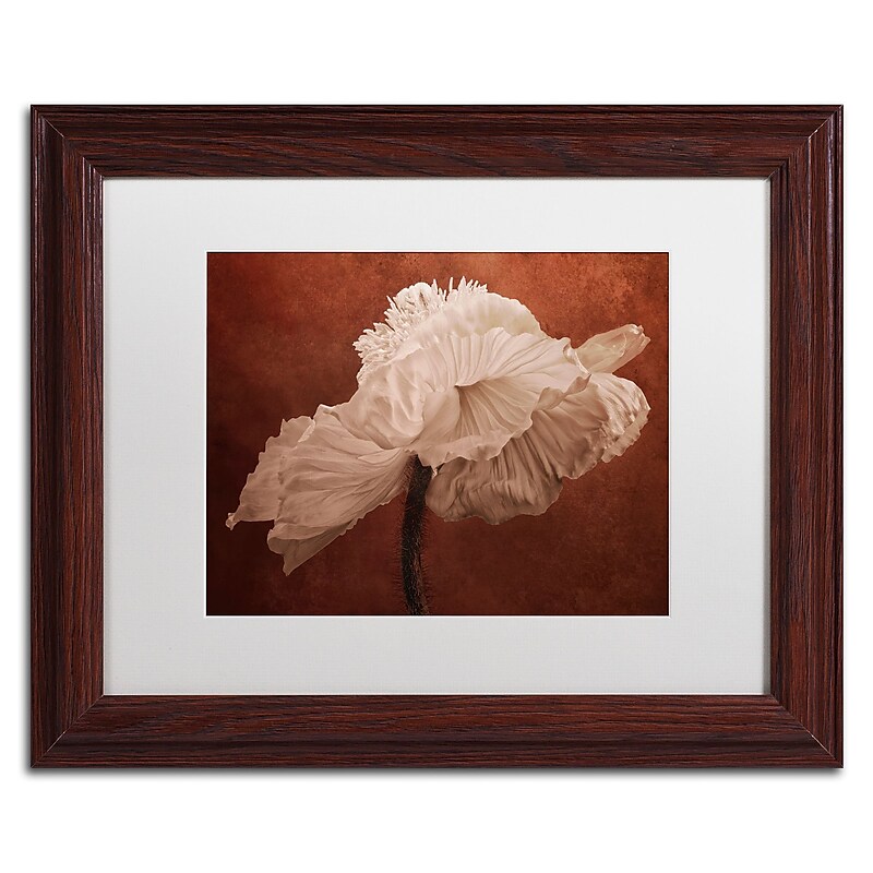 Trademark Fine Art Cora Niele 'White Poppy' 11" x 14" Matted Framed Art Print (190836311446) image 1