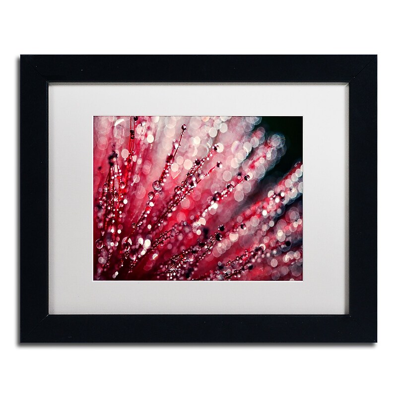 Trademark Fine Art Beata Czyzowska Young 'Sonata in Red' 11" x 14" Matted Framed Art Print (190836185726) image 1