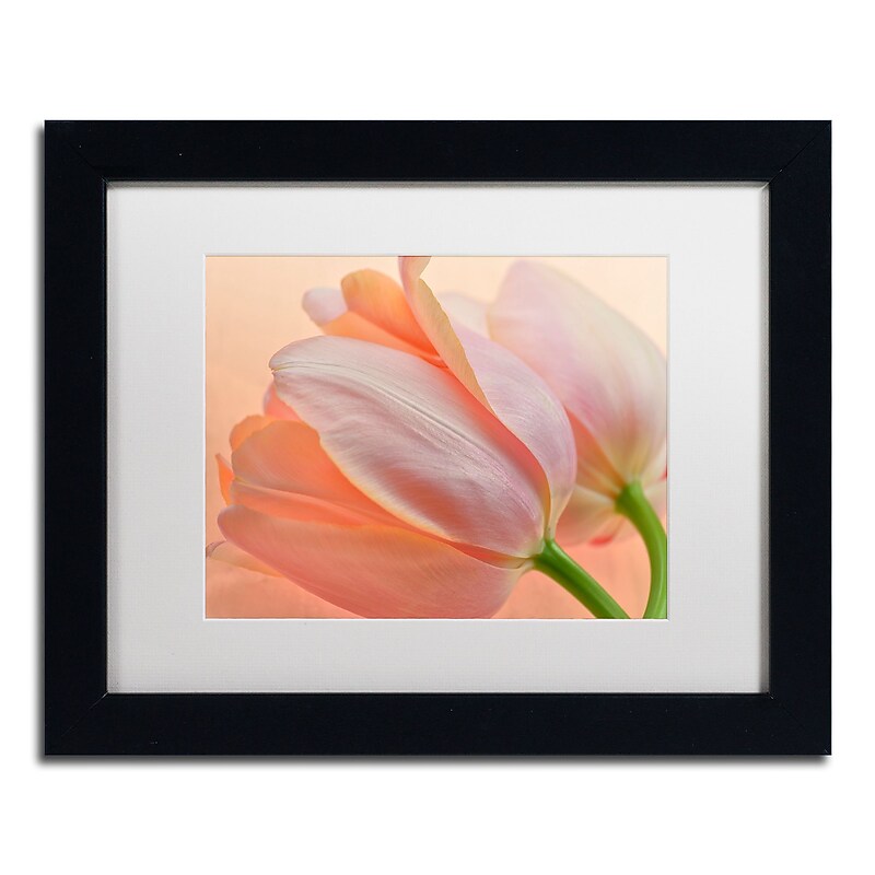 Trademark Fine Art Cora Niele 'Two Orange Tulips' 11" x 14" Matted Framed (190836310340) image 1