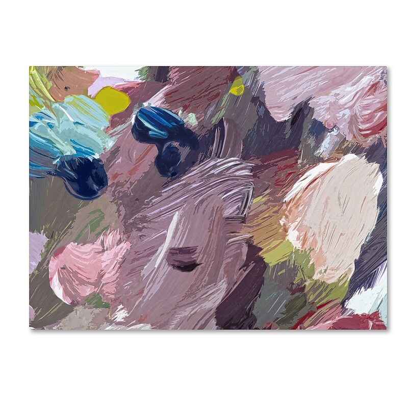 Trademark Fine Art David Lloyd Glover 'Cloud Patterns' 14" x 19" Canvas Stretched Art Print (190836228263) image 1