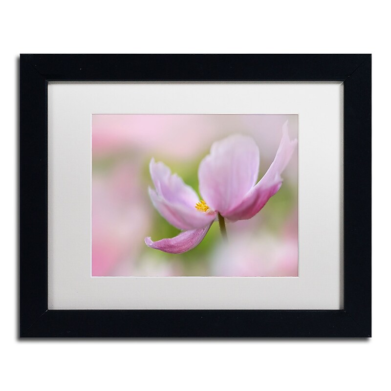 Trademark Fine Art Cora Niele 'Pink Anemone' 11" x 14" Matted Framed Art Print (190836248629) image 1