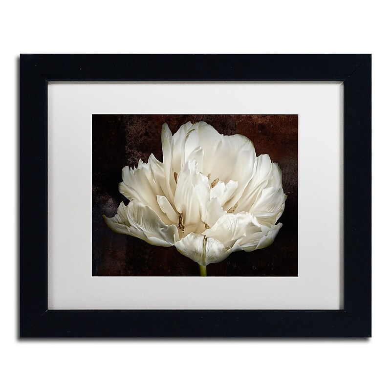 Trademark Fine Art Cora Niele 'Double White Tulip' 11" x 14" Matted Framed (190836257621) image 1