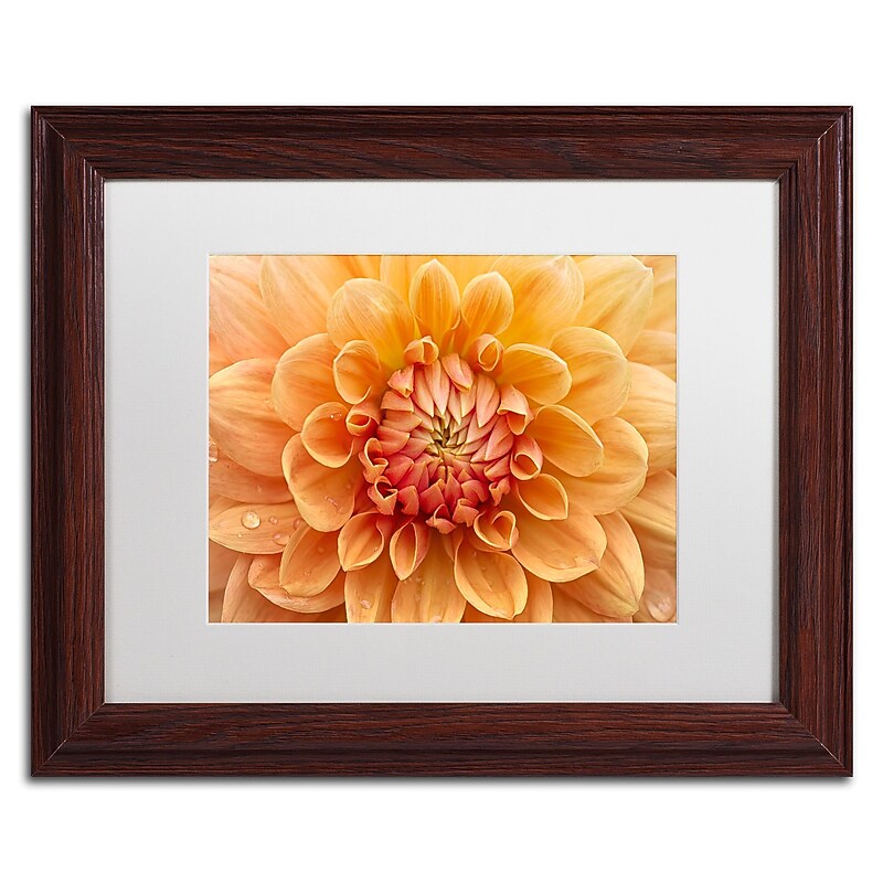 Trademark Fine Art Cora Niele 'Orange Dahlia' 11" x 14" Matted Framed (190836248322) image 1