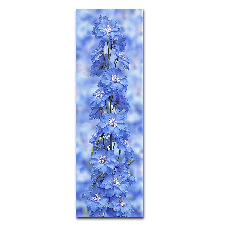 Trademark Fine Art Cora Niele 'Blue Larkspur' 6" x 19" Canvas Stretched Art Print (190836317202) image 1