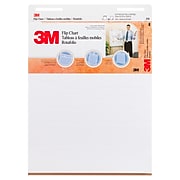 3M™ Flip Chart, 25" x 30", White, 40 Sheets/Pad, 2 Pads/Pack (570)