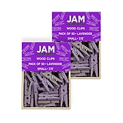 JAM Paper® Wood Clip Clothespins, Small 7/8 Inch, Lavender Purple Clothes Pins, 2 Packs of 50 (2230719107A)