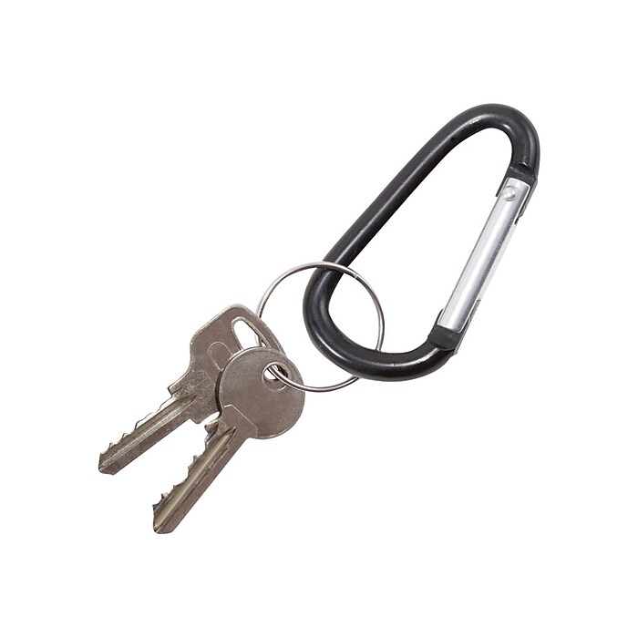 Advantus 1-Key Holders, Black, 10/Pack (75555) | Staples