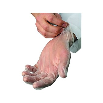 Ambitex V5201 Series Vinyl Food Service Gloves, Large, Disposable, 100/Box (VLG5201)