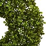 Nearly Natural 22” Boxwood Wreath (4554)~#|#~sp4717566_sc7