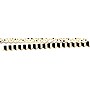 Barker Creek Double-Sided Scalloped Border Set, 36" x 2.25", Gold, 2 designs, 26/Set (BC3553)~#|#~sp47424075_sc7