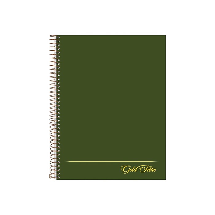PLAUD notepin bundle 極美品 Ampad Gold Fibre Subject