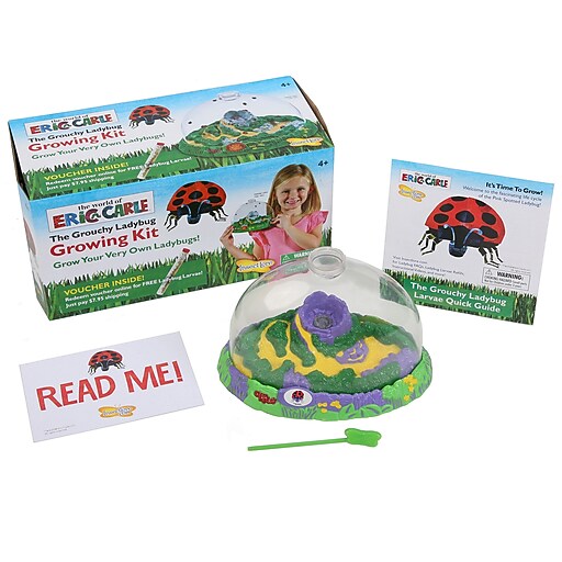 Insect Lore World of Eric Carle™ The Grouchy Ladybug™ Growing Kit
