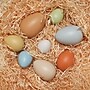 Yellow Door Size-Sorting Eggs, Set of 8 (YUS1088)~#|#~sp47702523_sc7