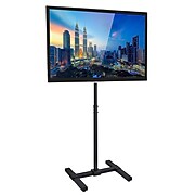 Mount-It! Mobile TV Stand and Mount Cart for 13" to 42" Flat Panel Screens (MI-878)