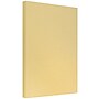 JAM Paper Parchment Colored 8.5" x 14" Paper, 24 lbs., Antique Gold Recycled, 100 Sheets/Pack (17132140)~#|#~sp4771571_sc7