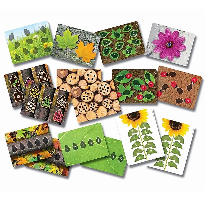 Yellow Door Ladybugs Early Number Card, Pack of 20, 16 Per Pack (YUS1063) image 1