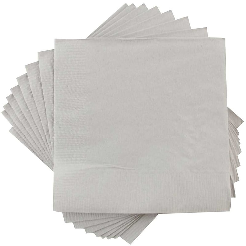JAM Paper Lunch Napkin, 2-ply, Silver, 600 Napkins/Pack (255628827B) image 1