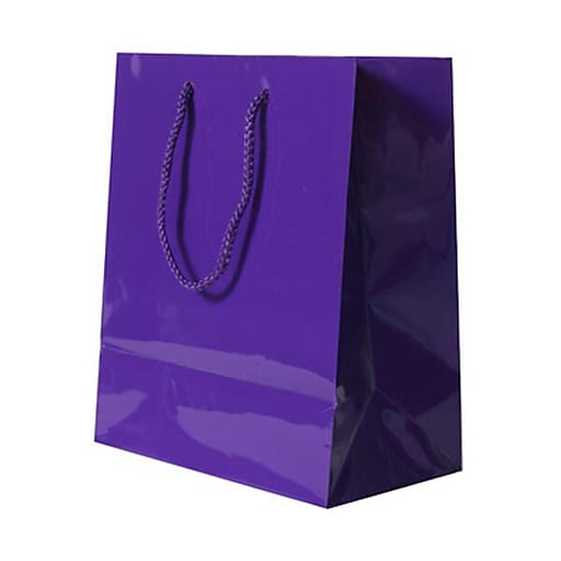 JAM Paper® Glossy Gift Bags, Medium, 8 x 4 x 10, Purple, 6/pack ...
