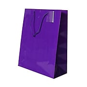 JAM Paper® Glossy Gift Bags with Rope Handles, Large, 10 x 5 x 13, Purple, 6 Bags/Pack (673GLpua)