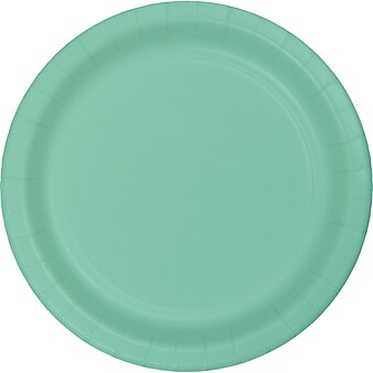 Creative Converting Fresh Mint Green Paper Plates, 72 Count (DTC318888DPLT)