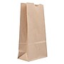 JAM Paper Kraft Lunch Bags, 8" x 4.25" x 2.25", Brown, 500/Pack (690KRBRB)~#|#~sp49372923_sc7