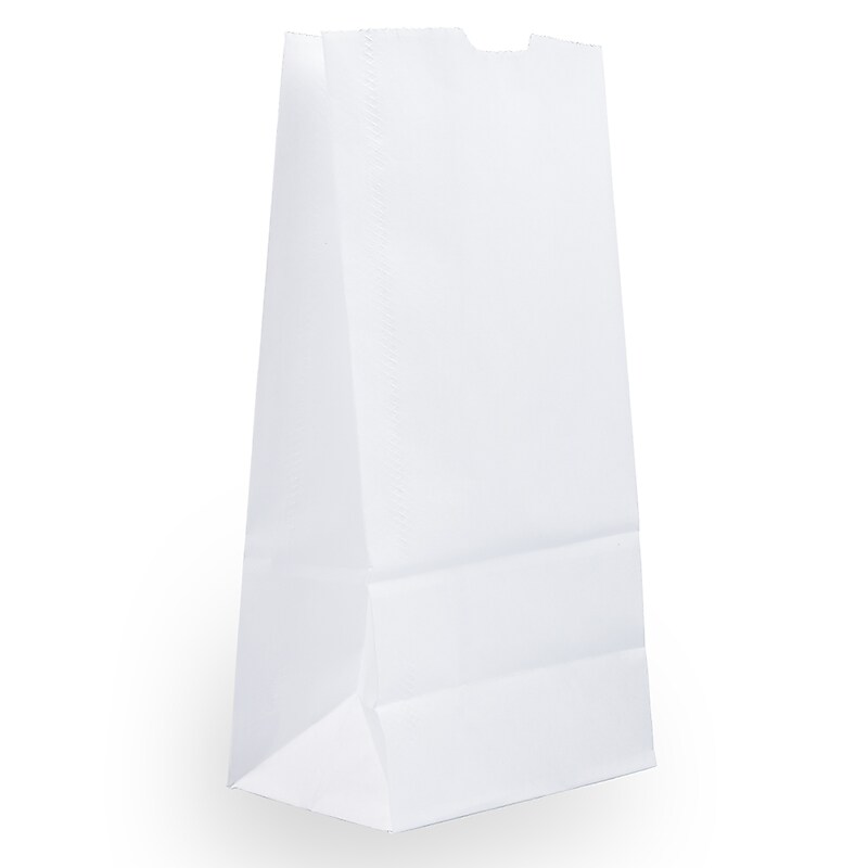 JAM Paper Kraft Lunch Bags, 9.75" x 5" x 3", White, 500/Box (691KRWHB) image 1