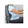 Fellowes Back Support, Black (9190701)~#|#~sp49507741_sc7